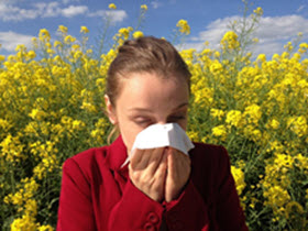 Carpet Cleaner Service for Allergies-Fort Myers